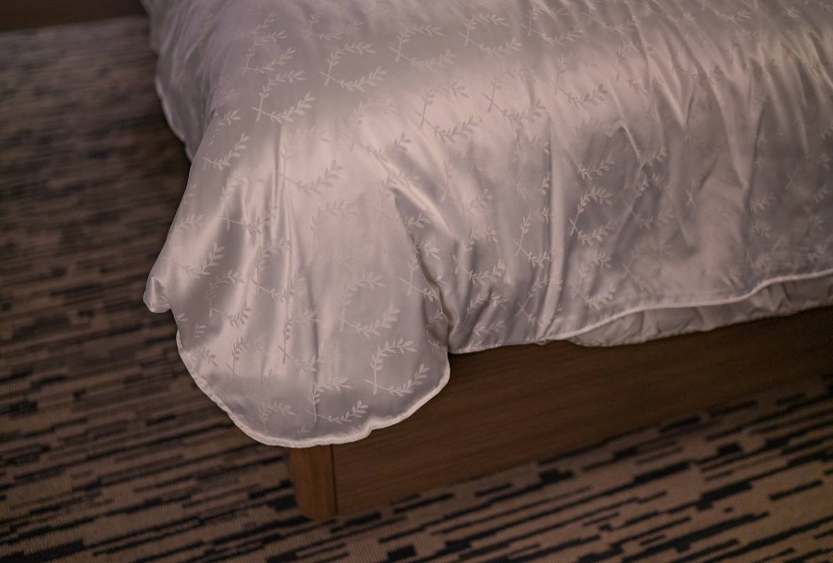 Bed Bug Treatment