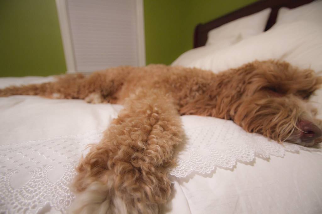 Comfortable