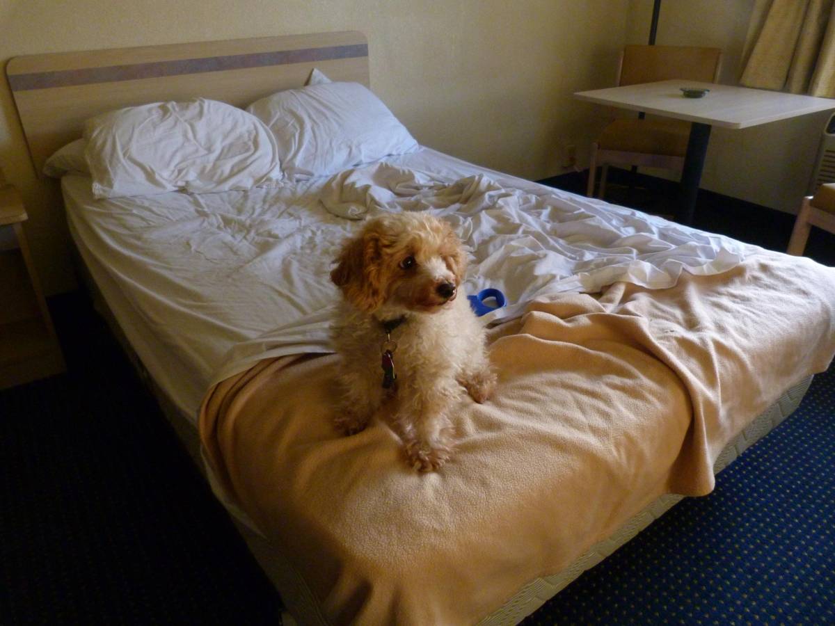 Mattress Stain & Odour Removal