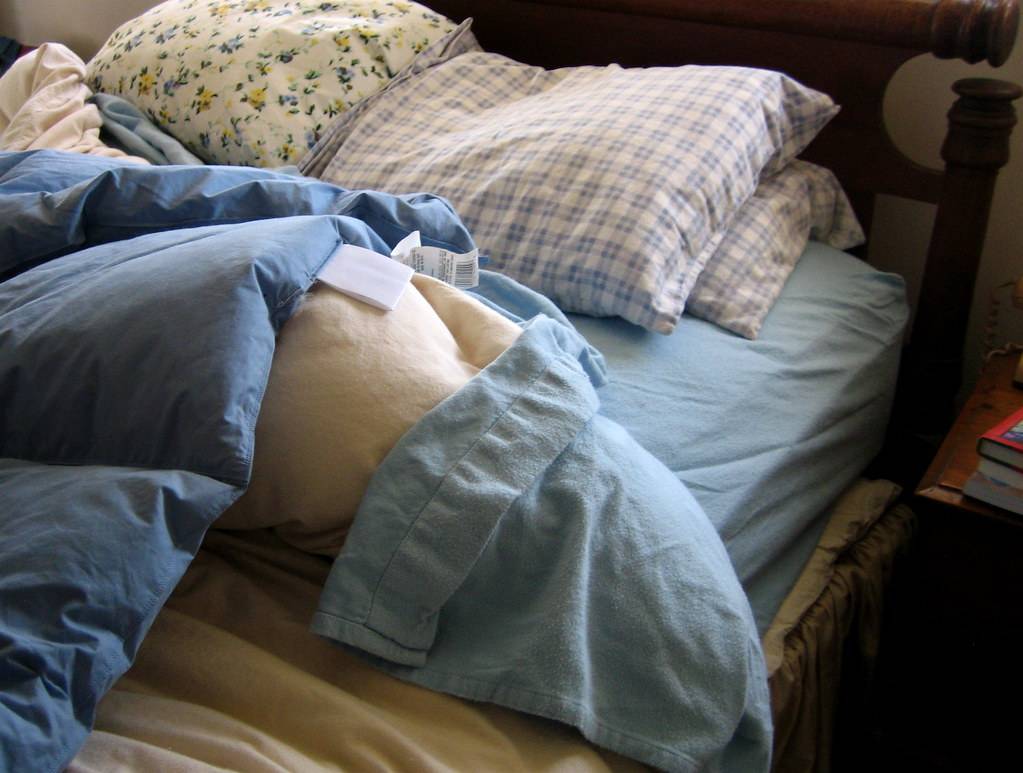 Bed Bug & Mould Treatment